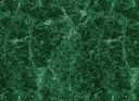 GEO.Others.Materiale vegetale